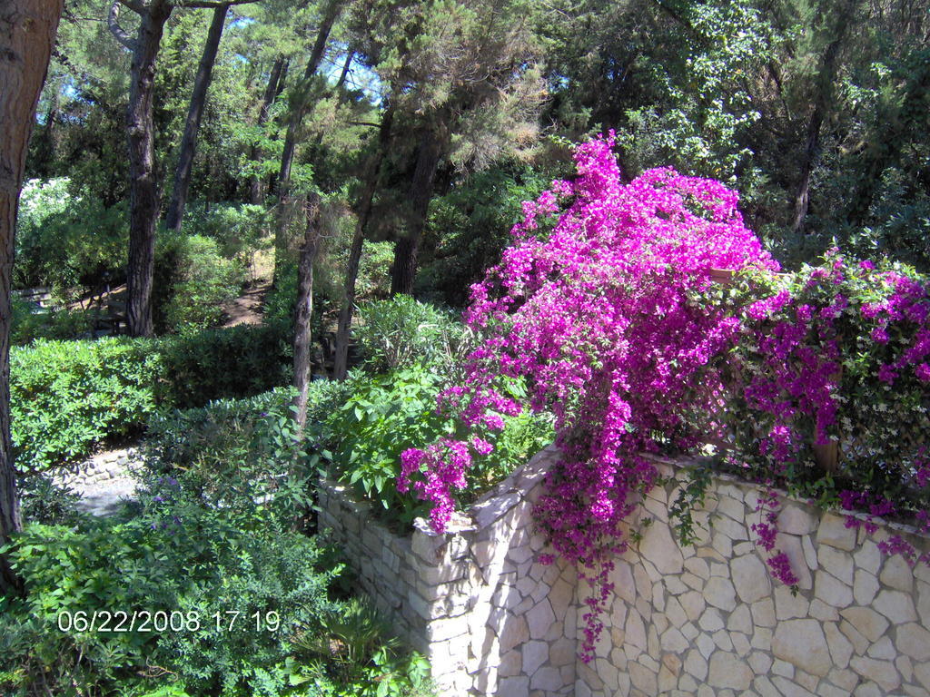 Residence Casa Di Caccia Marina Di Bibbona Dış mekan fotoğraf